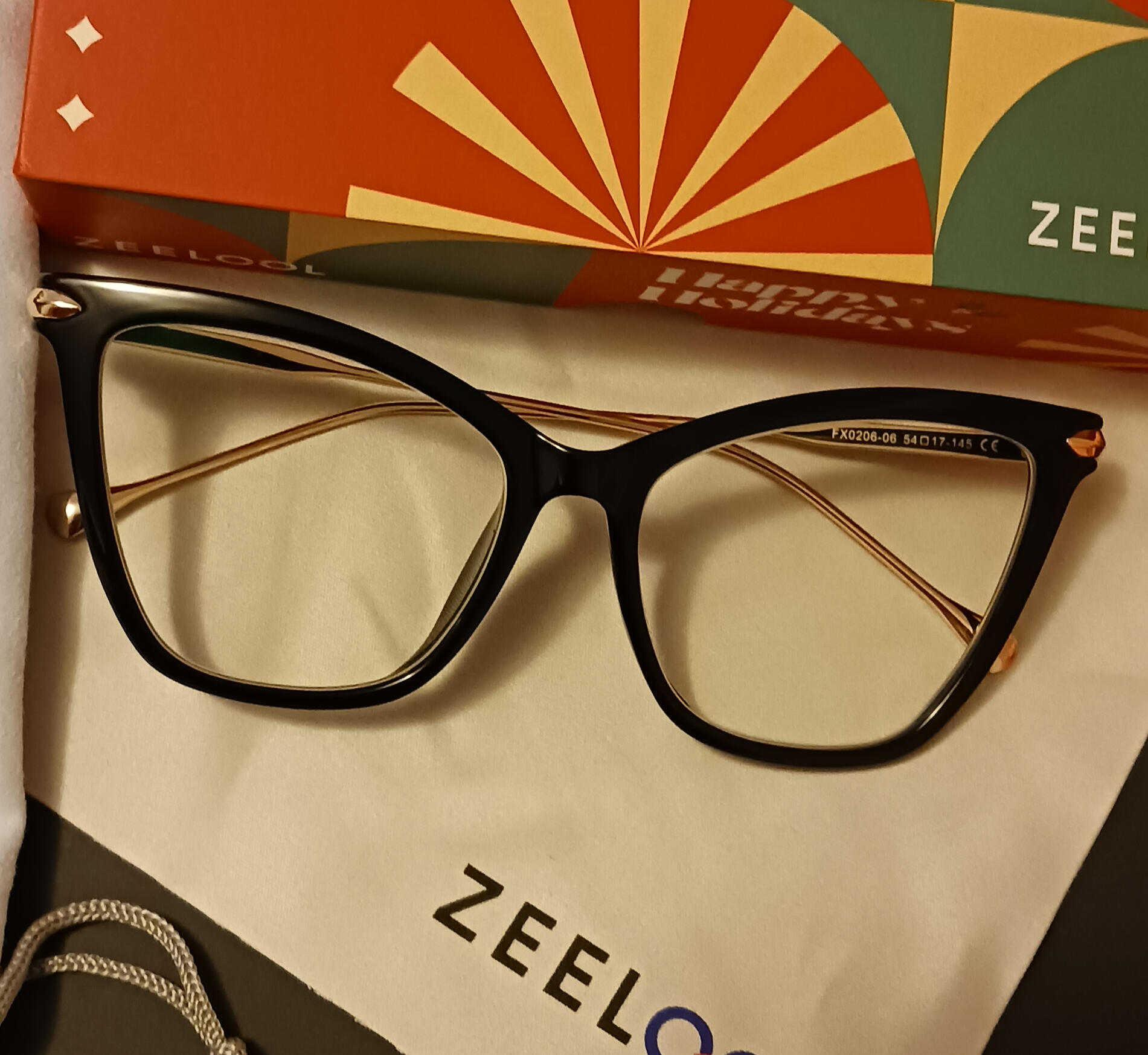 Everyday glasses with case and cleaning cloth.